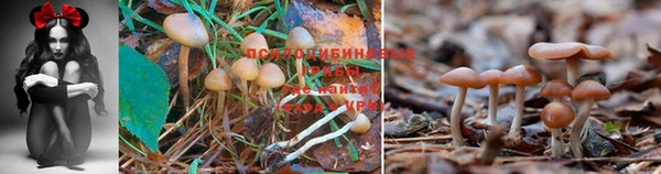 бошки Балабаново
