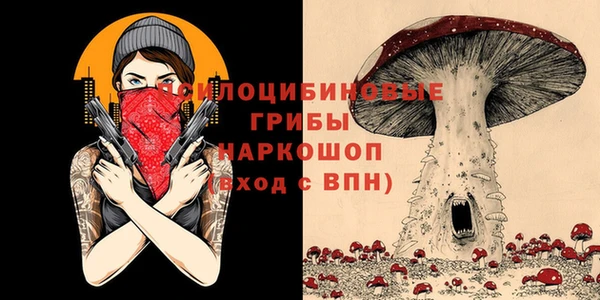 гашик Балахна