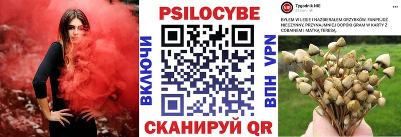 как найти закладки  Горячий Ключ  Галлюциногенные грибы ЛСД 