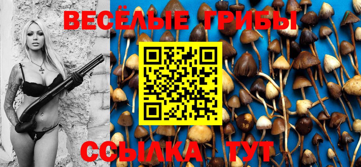 Горячий Ключ  купить наркотик  Вход с VPN  Галлюциногенные грибы мицелий 