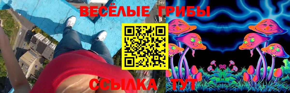 Галлюциногенные грибы Psilocybe Горячий Ключ