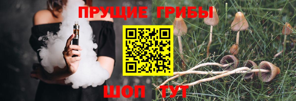 Галлюциногенные грибы прущие грибы  Горячий Ключ  Галлюциногенные грибы мухоморы 